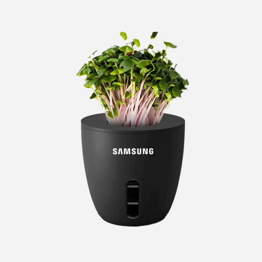 Terra - Self Water Plant